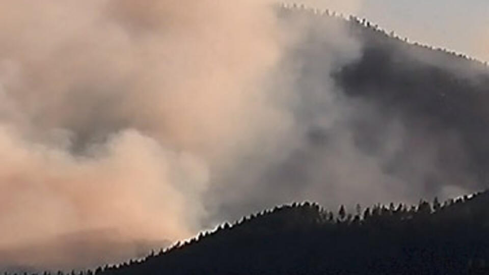 Visible/color image of forest fire with thick smoke.