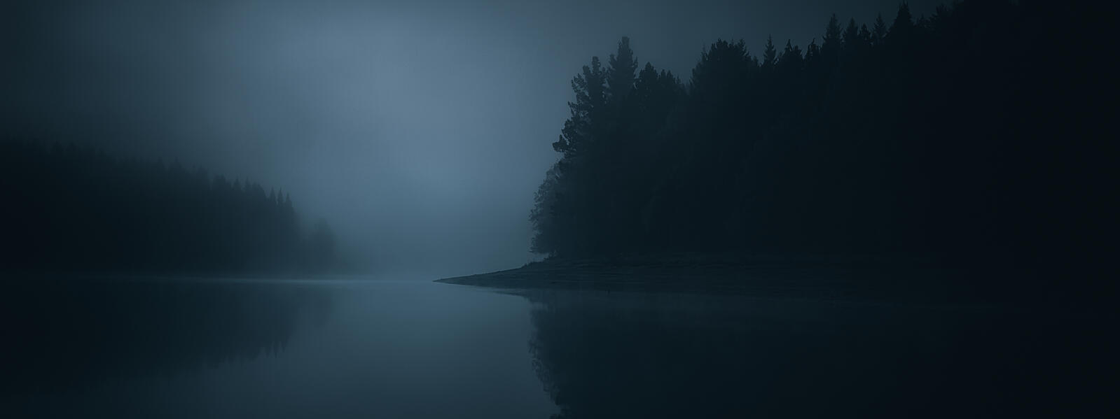 Dark night scene of lake and trees